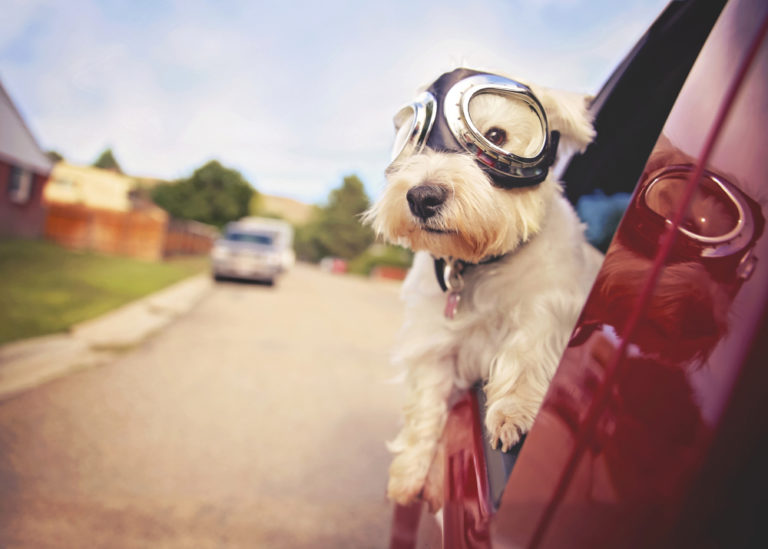 Sell My Car Fast